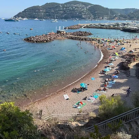 Apartment Beautiful F2 Pool In Islette Du Riou Mandelieu-la-Napoule